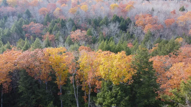 $43,500 | Lot 2 Darci Lane, Montville, ME 04941