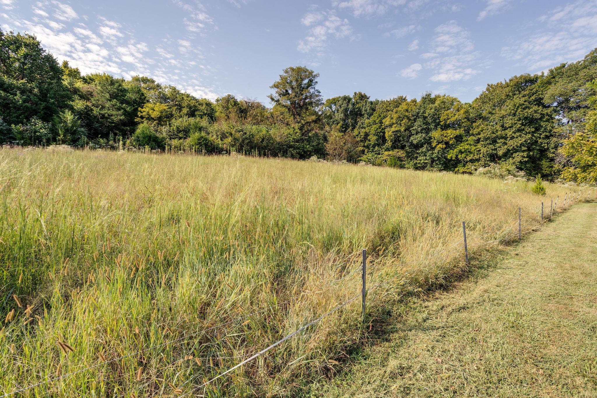 2055 Polly Adams Road Belfast, TN 37019 - Photo 25 of 29 Gallery Image 25