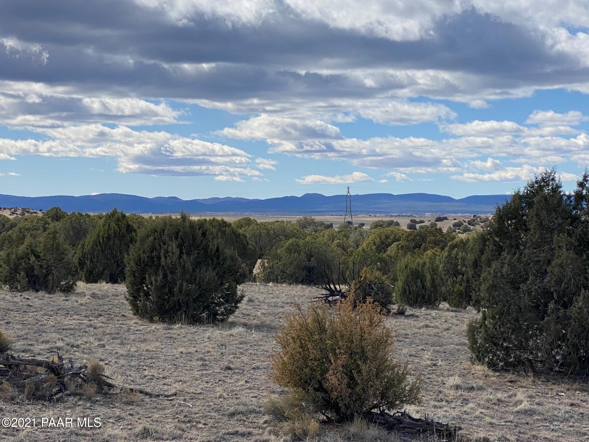 0 West Dillon Wash Road Prescott, AZ 86305 - Photo 5 of 5 Standing on the lot
