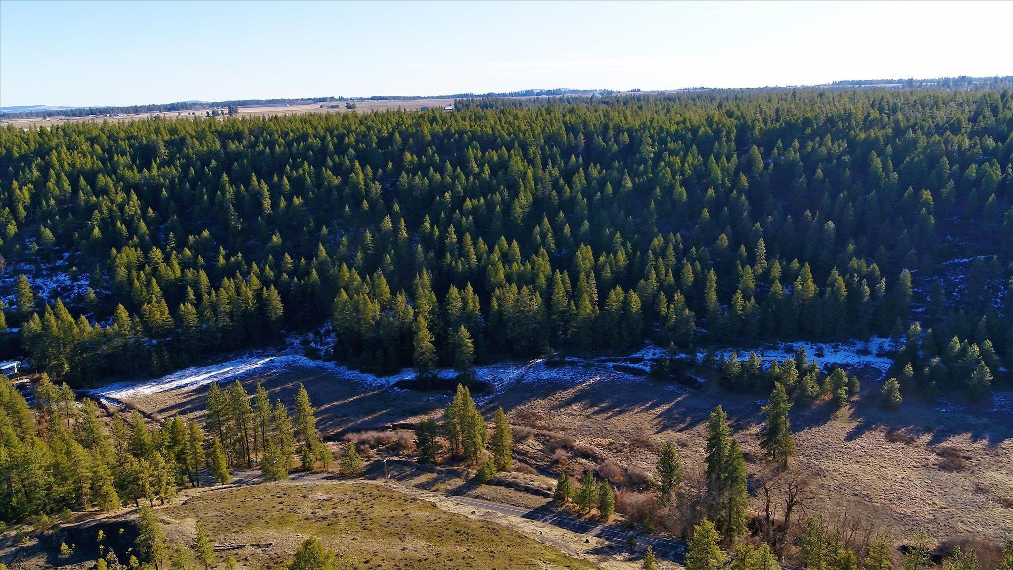 West Coulee Hite Road Spokane, WA 99224 - Photo 3 of 32