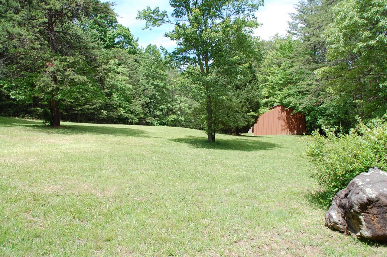 6231 Scruggs Road Moneta, VA 24121 - Photo 6 of 17 2.71 Acres of gentle land with Shed