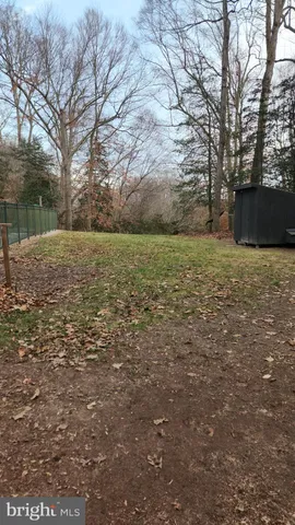a view of a forest with trees