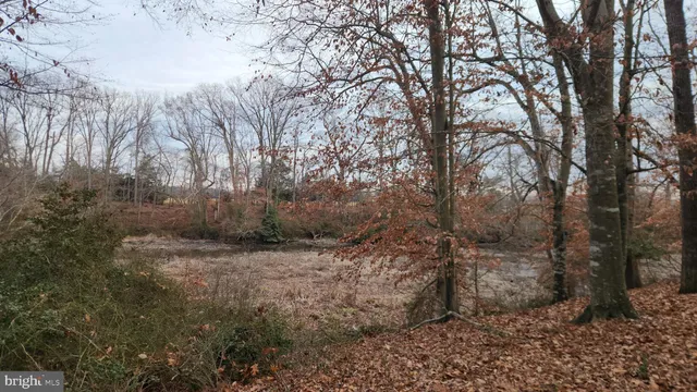 a view of backyard with green space