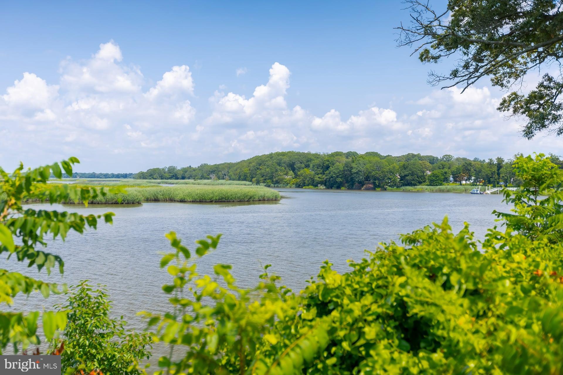 24 Back Neck Road Fairton, NJ 08302 - Photo 46 of 78