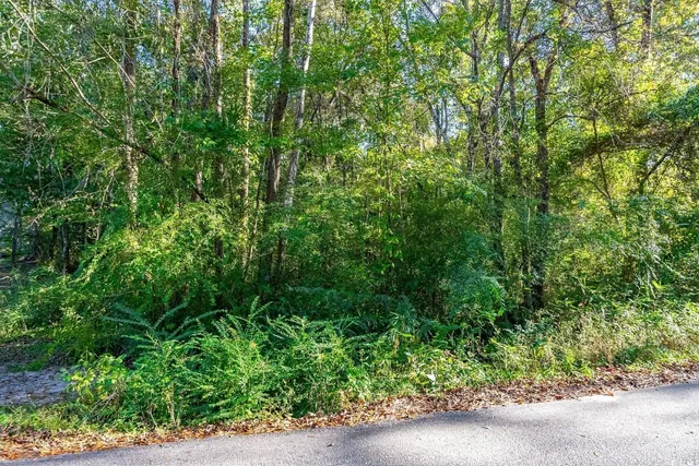 $15,000 | Tbd Barnes Road, Andrews, SC 29510