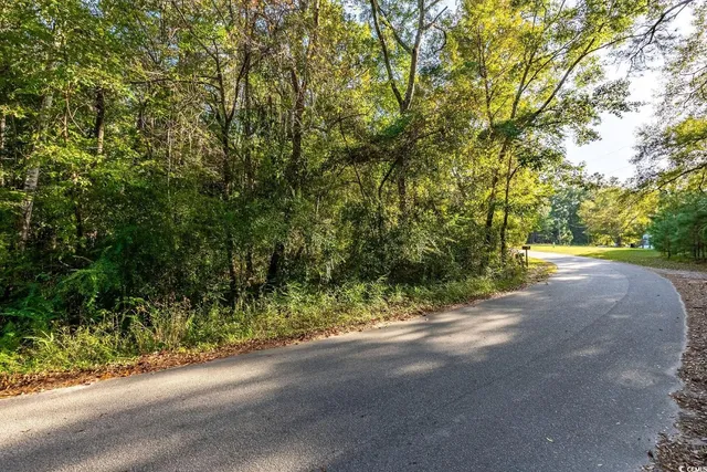 $15,000 | Tbd Barnes Road, Andrews, SC 29510