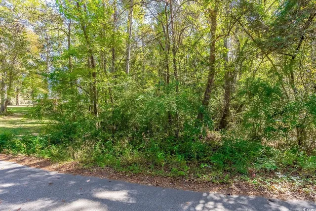 $15,000 | Tbd Barnes Road, Andrews, SC 29510