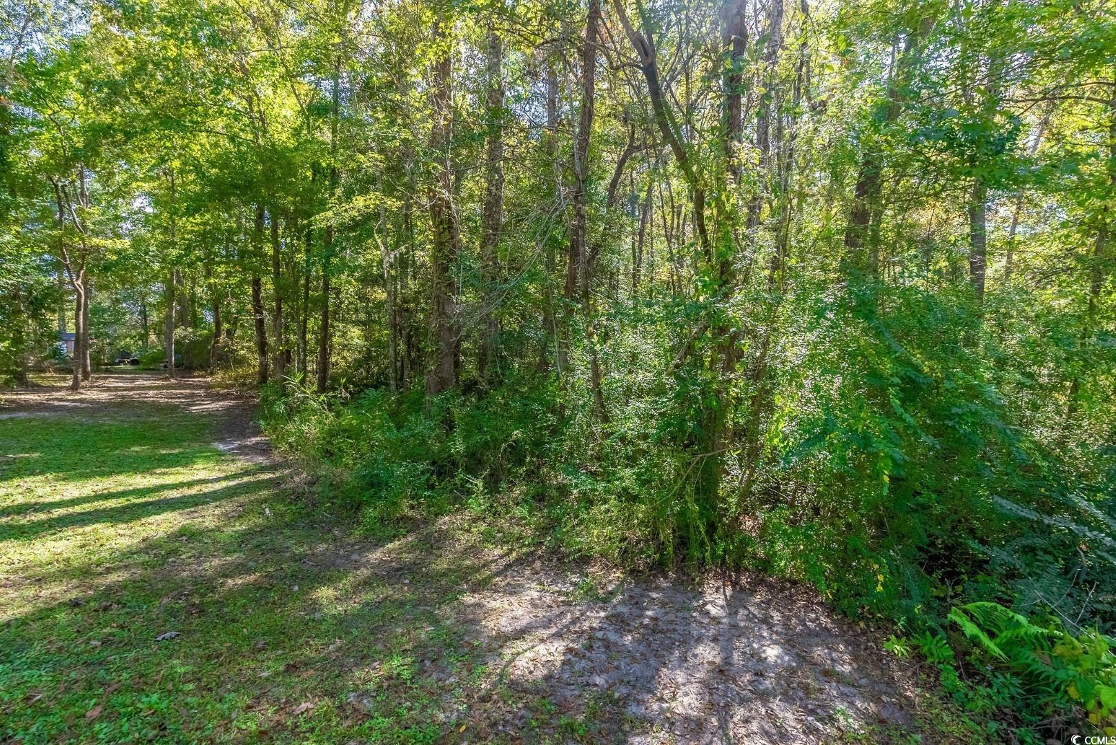 Tbd Barnes Road Andrews, SC 29510 - Photo 15 of 19
