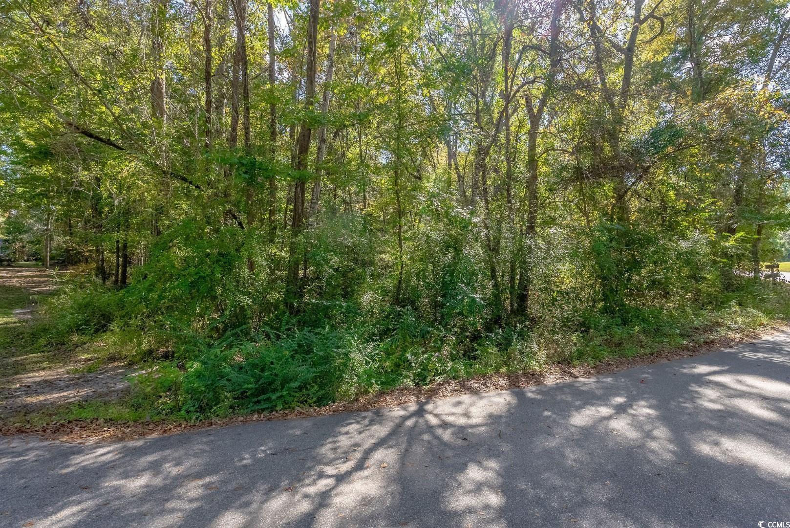 Tbd Barnes Road Andrews, SC 29510 - Photo 16 of 19