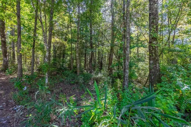 $15,000 | Tbd Barnes Road, Andrews, SC 29510