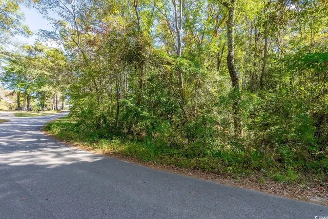 $15,000 | Tbd Barnes Road, Andrews, SC 29510