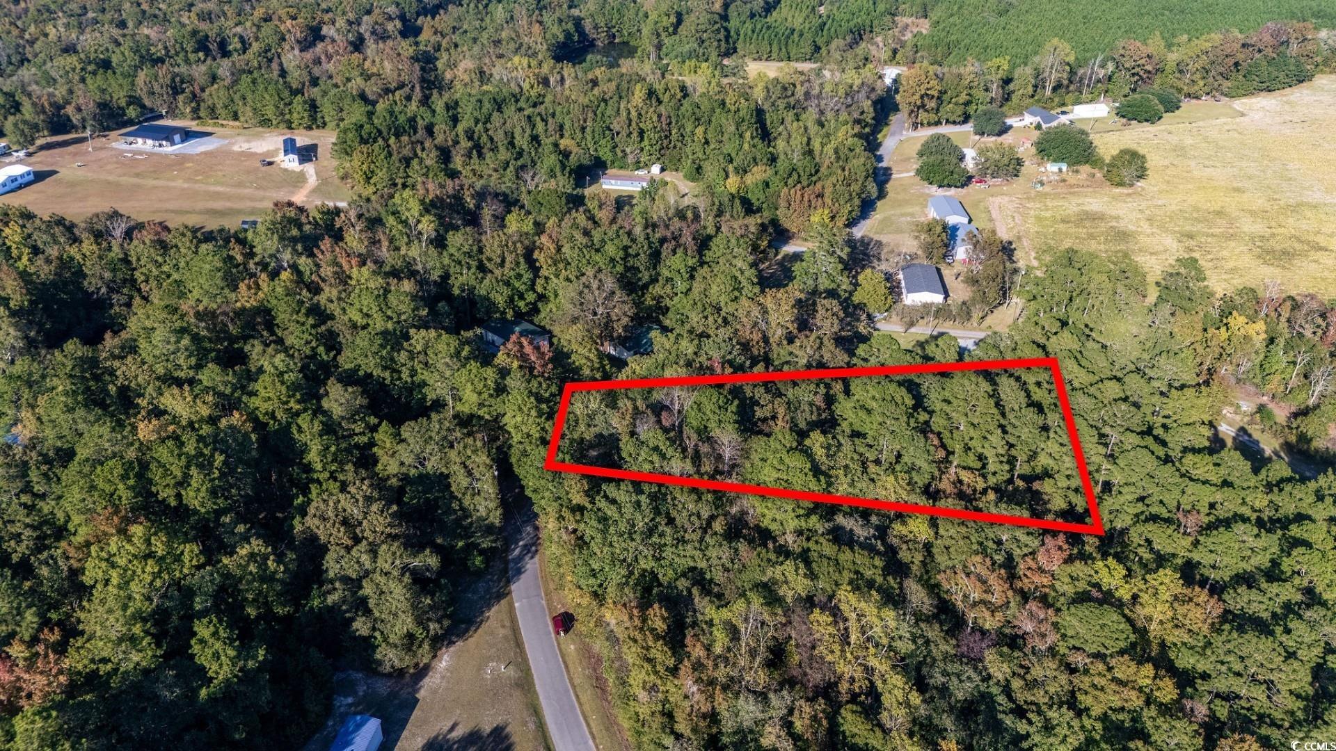 Tbd Barnes Road Andrews, SC 29510 - Photo 2 of 19