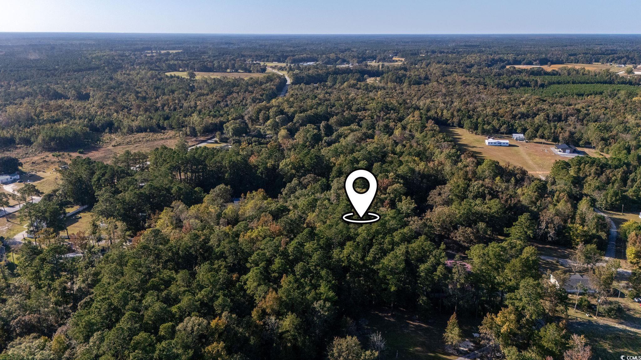 Tbd Barnes Road Andrews, SC 29510 - Photo 4 of 19