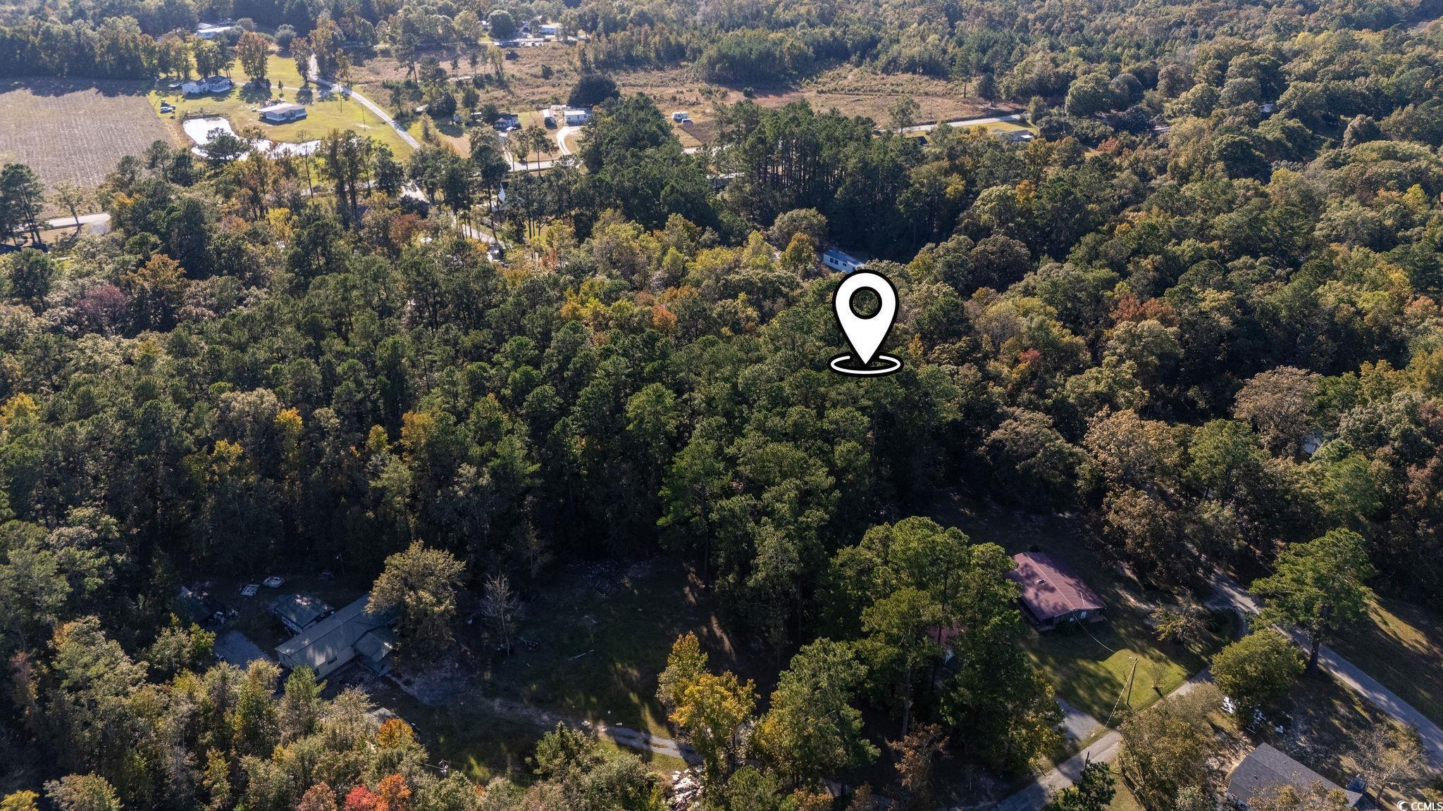 Tbd Barnes Road Andrews, SC 29510 - Photo 5 of 19