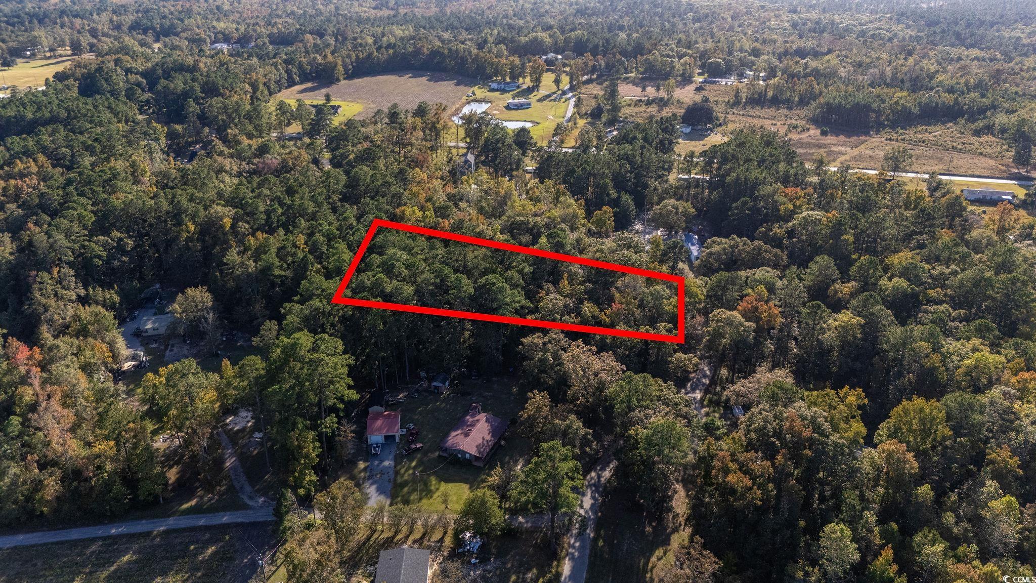 Tbd Barnes Road Andrews, SC 29510 - Photo 6 of 19