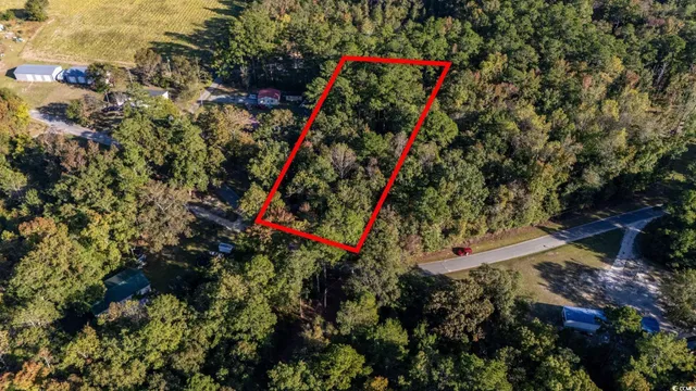 $15,000 | Tbd Barnes Road, Andrews, SC 29510