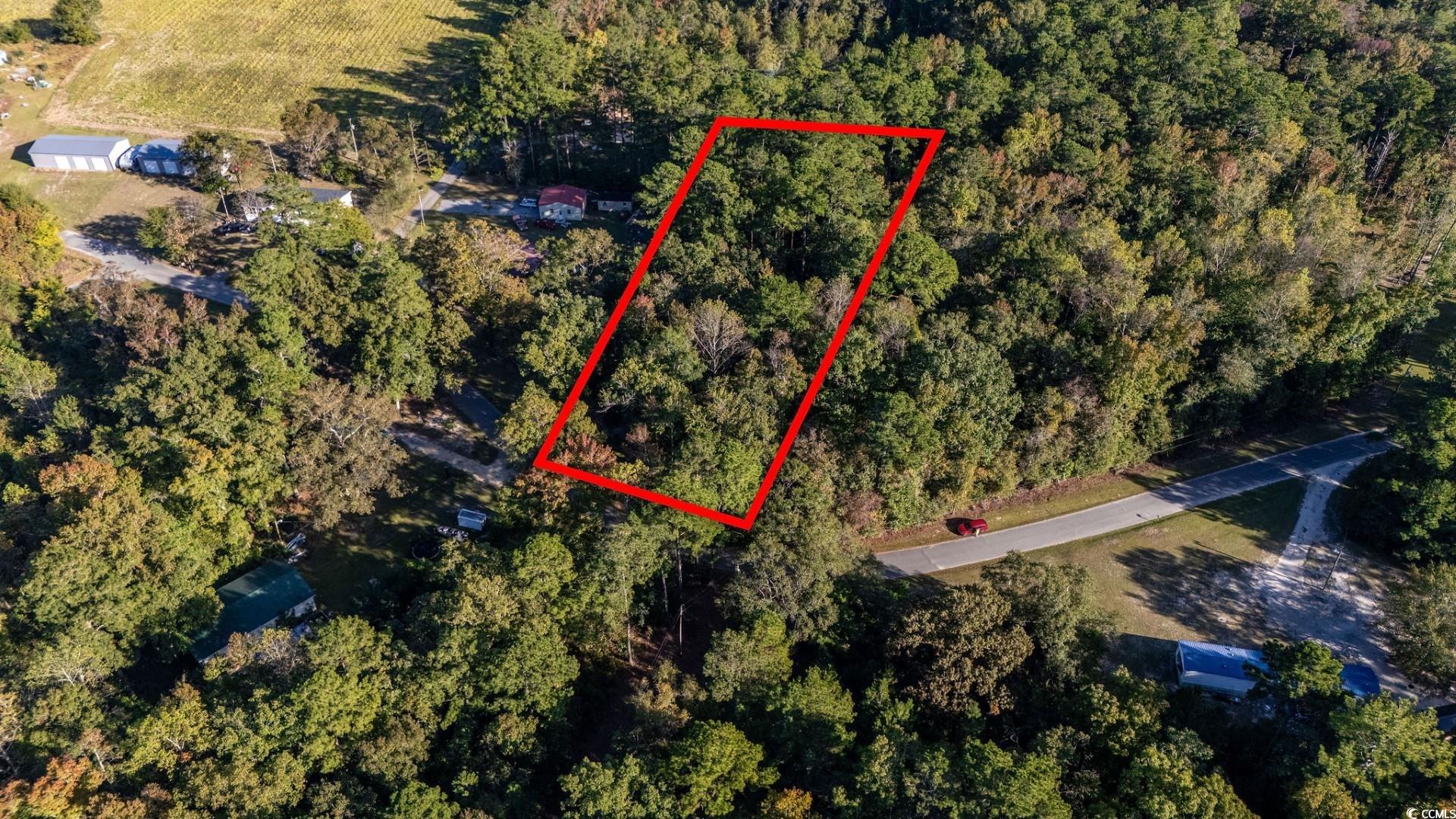 Tbd Barnes Road Andrews, SC 29510 - Photo 8 of 19