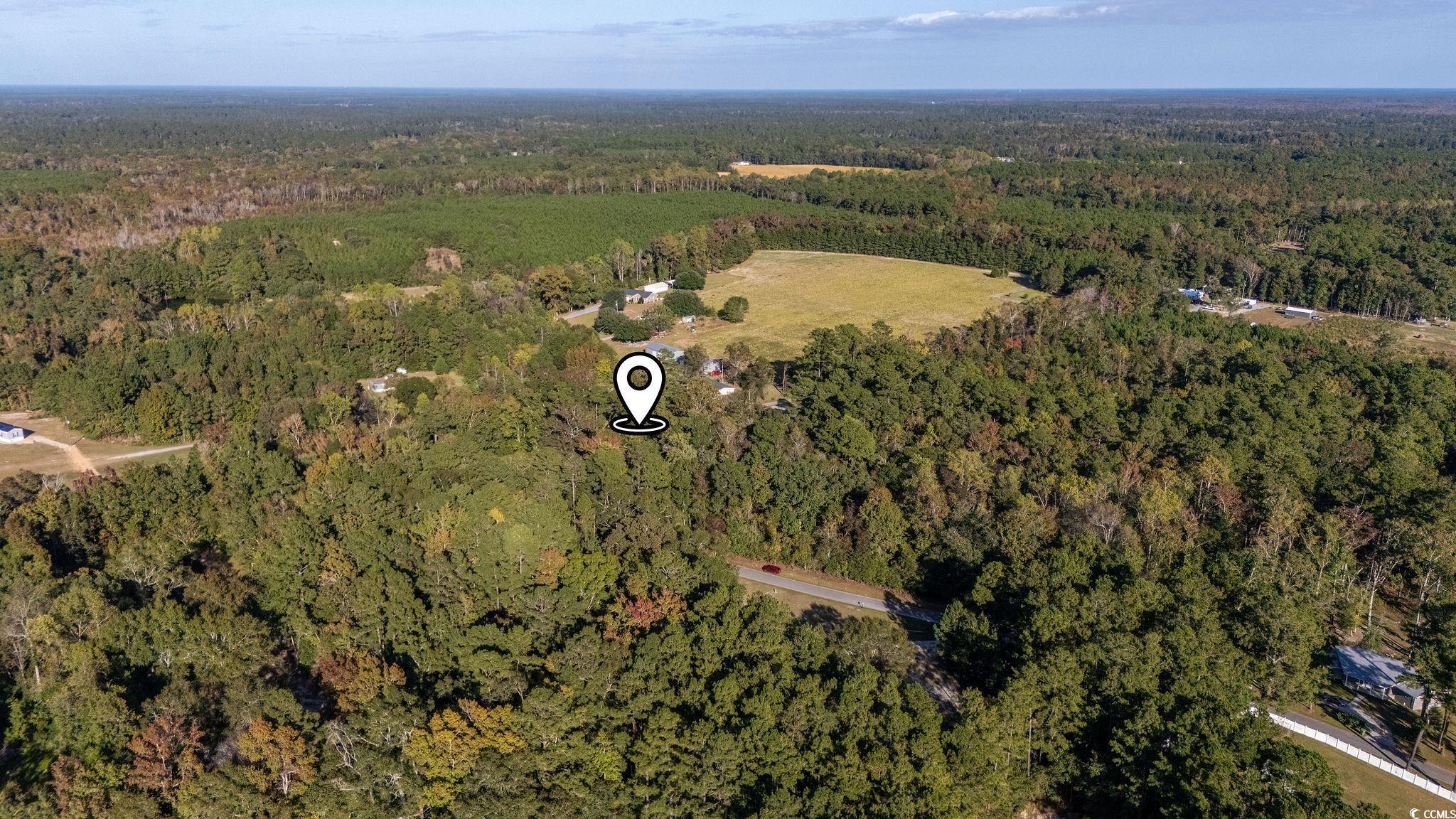Tbd Barnes Road Andrews, SC 29510 - Photo 9 of 19