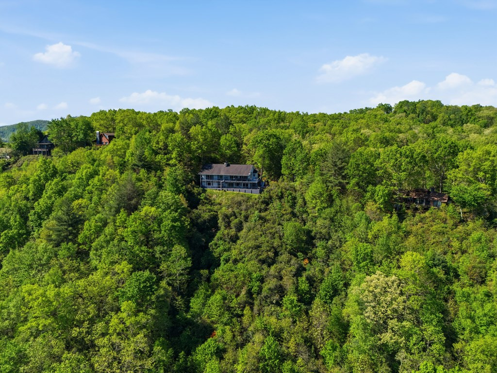 122 Laurel Ridge Lane Murphy, NC 28906 - Photo 57 of 76