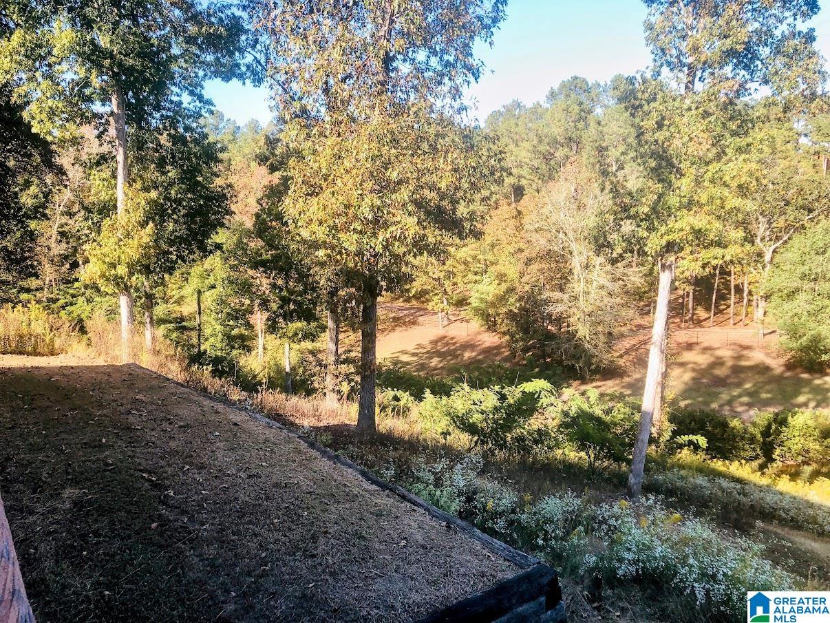 1505 Overlook Point Warrior, AL 35180 - Photo 37 of 44