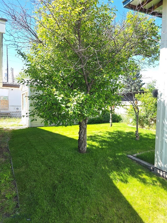 331 North Walnut Street Dillon, MT 59725 - Photo 5 of 30 Back yard recreational area