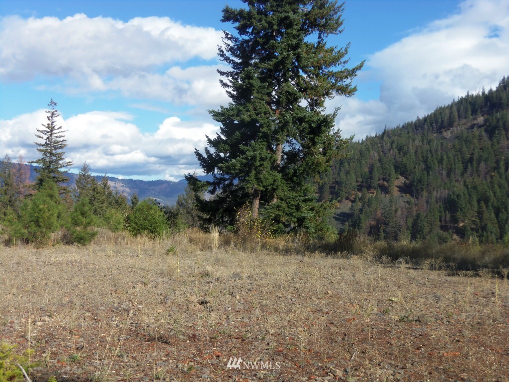 1601 Durango Road Cle Elum, WA 98922 - Photo 3 of 6 Gallery Image 3