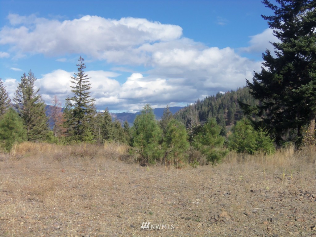 1601 Durango Road Cle Elum, WA 98922 - Photo 5 of 6 Gallery Image 5