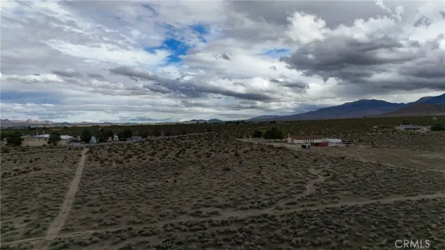 a view of a dry yard