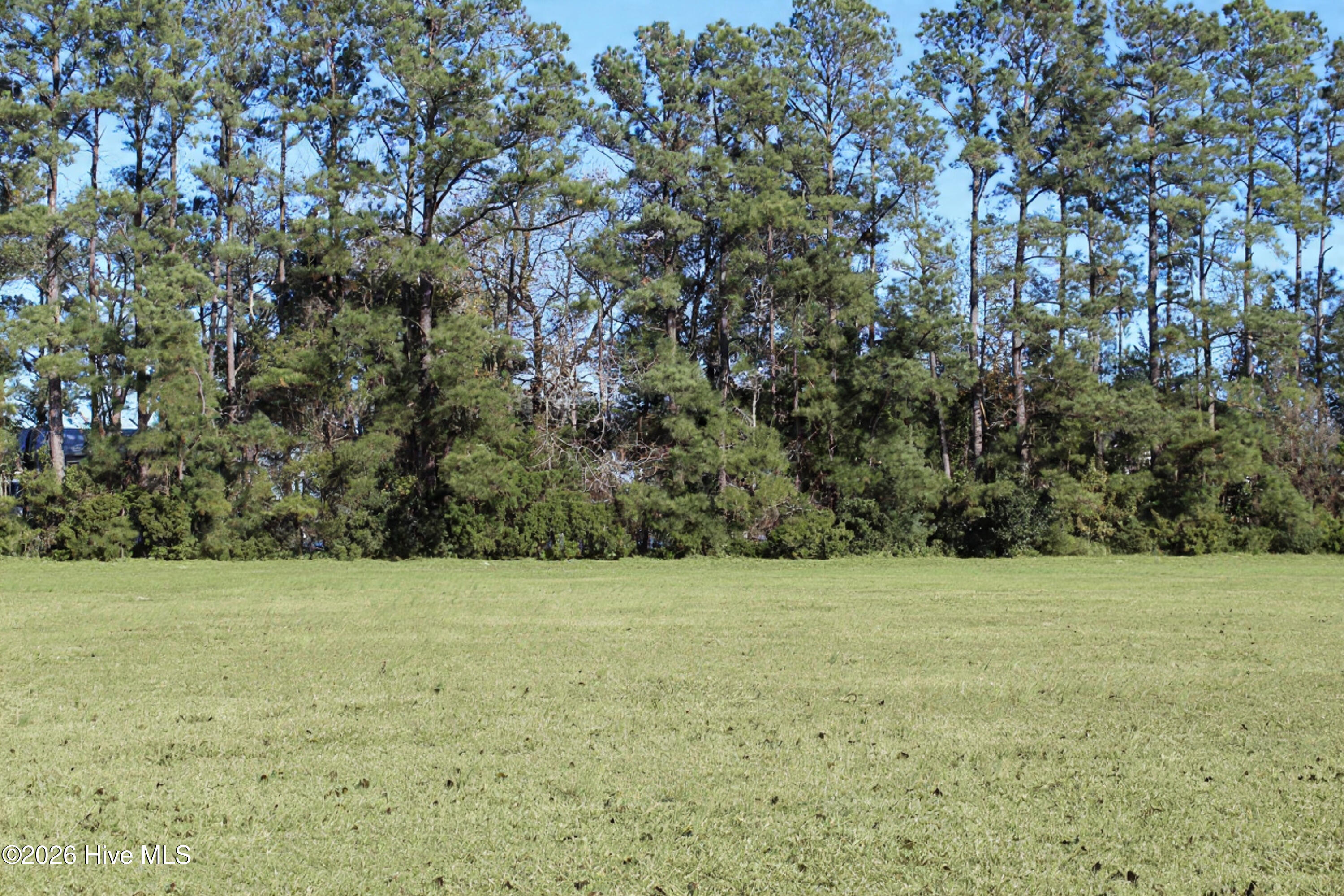 103 Waterway Road Havelock, NC 28532 - Photo 2 of 9 View of back of lot
