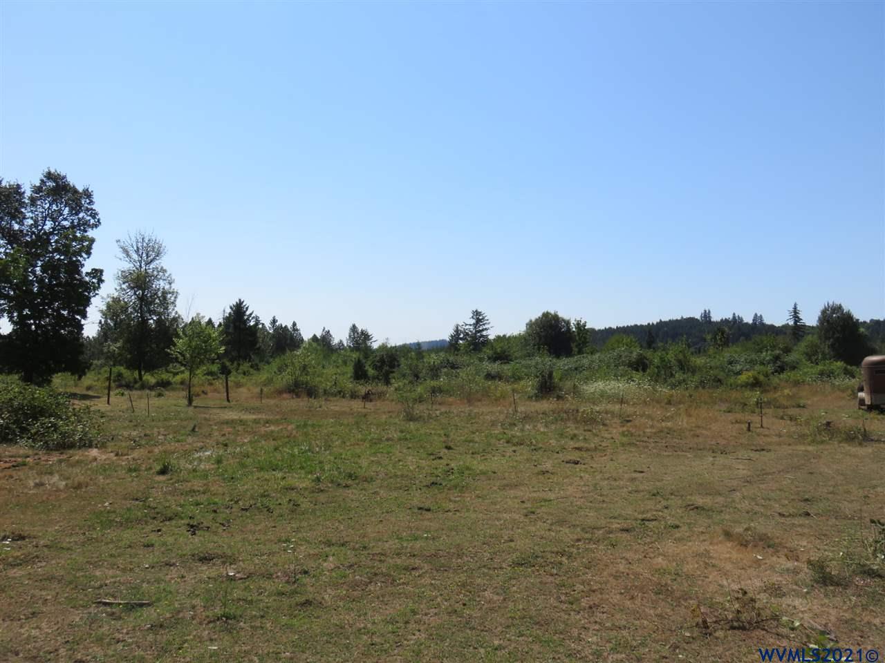 18990 Falls City Road Dallas, OR 97338 - Photo 42 of 42 a view of a field with an trees