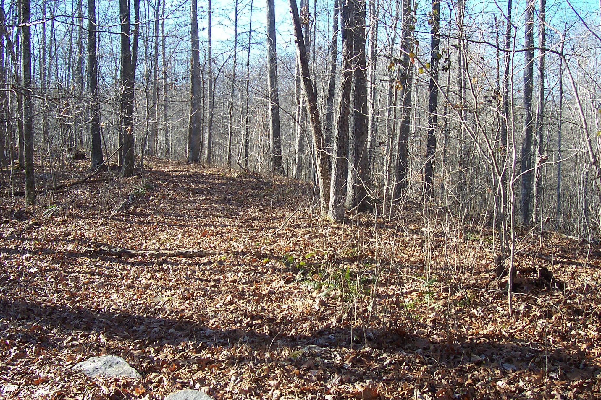 692 Friendship Church Road Magnolia, KY 42757 - Photo 19 of 21 100_7225