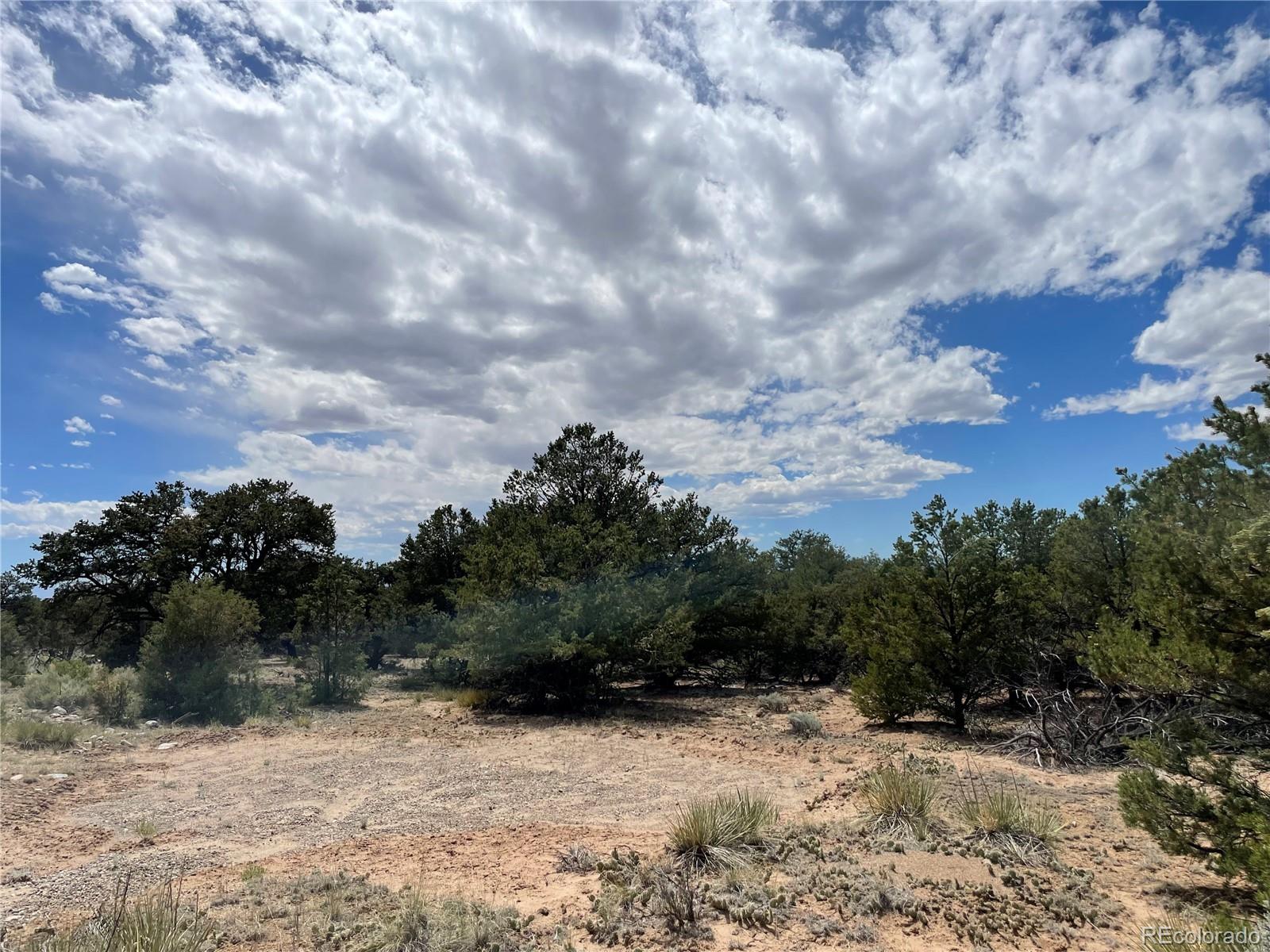 4286 Fallen Tree Crestone, CO 81131 - Photo 2 of 12
