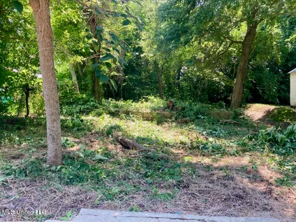 $19,800 | 55 East Oak Street, Natchez, MS 39120