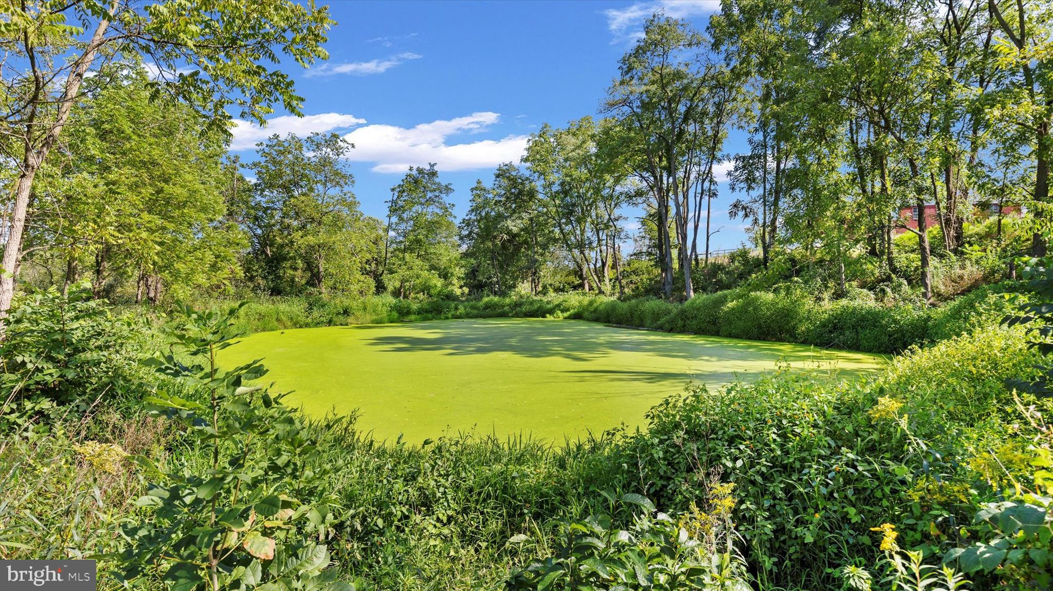 34 Homestead Road Grantville, PA 17028 - Photo 15 of 41 Fish pond