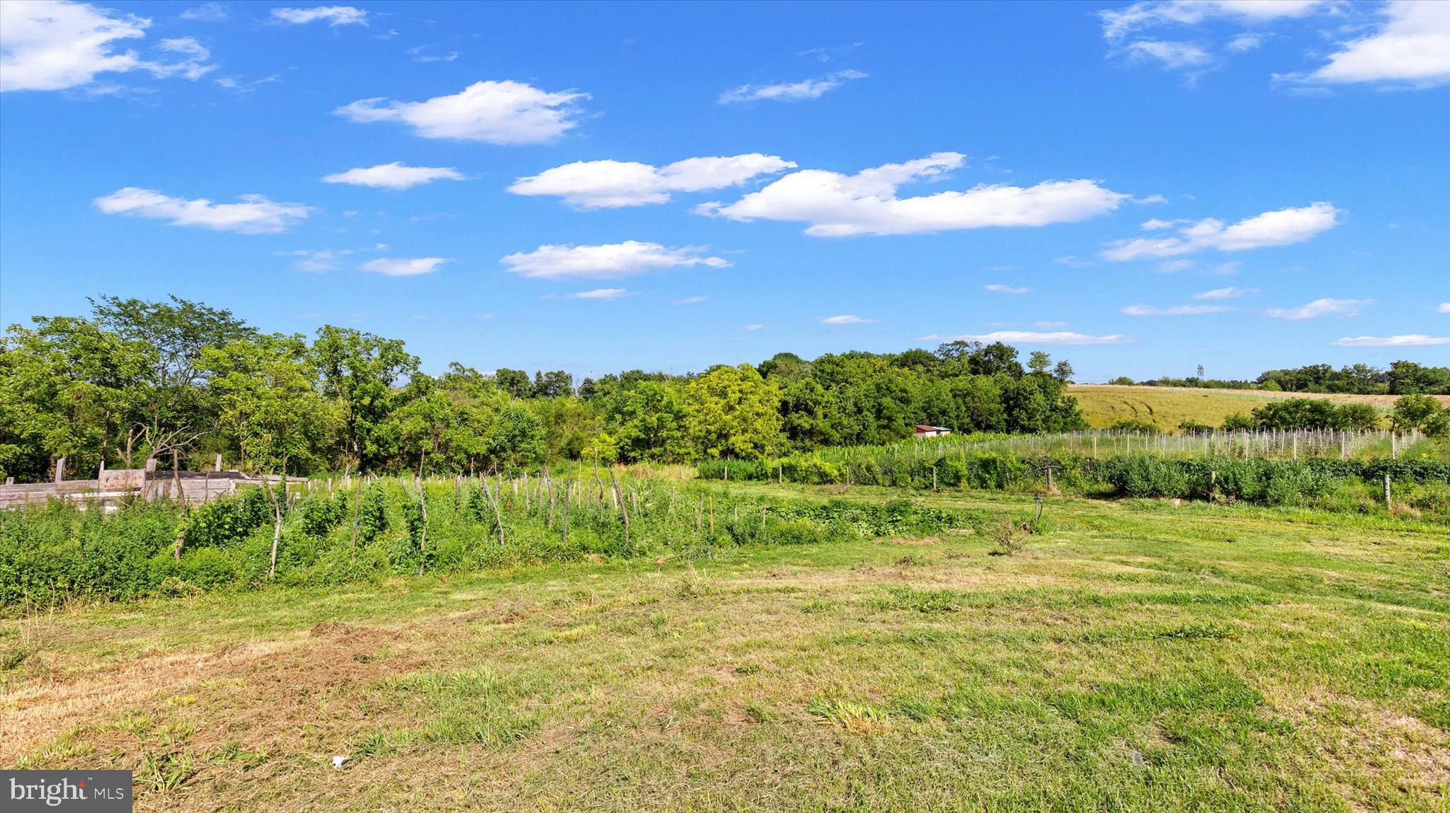 34 Homestead Road Grantville, PA 17028 - Photo 16 of 41