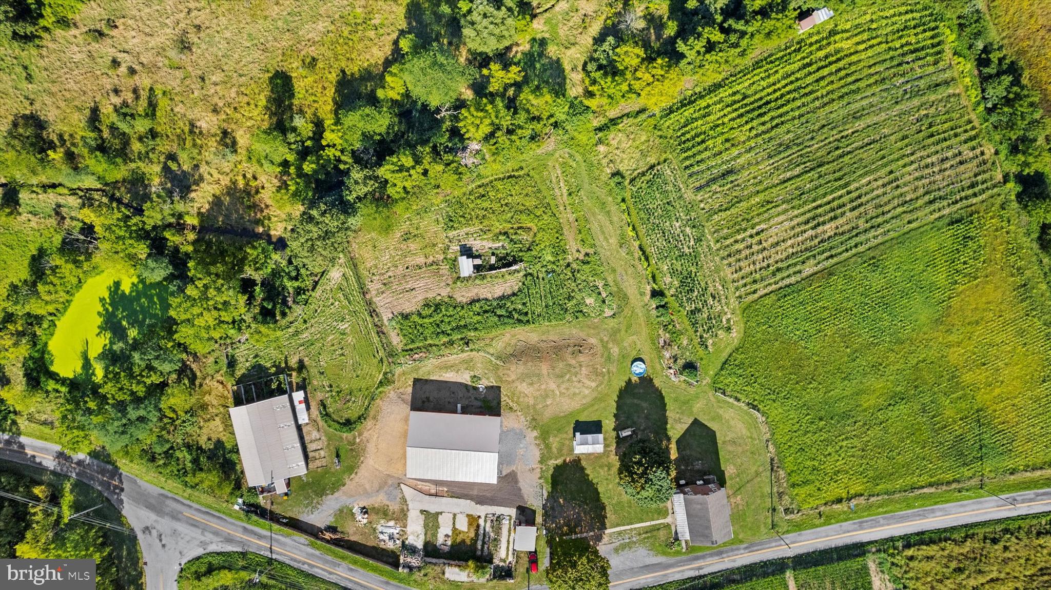 34 Homestead Road Grantville, PA 17028 - Photo 2 of 41