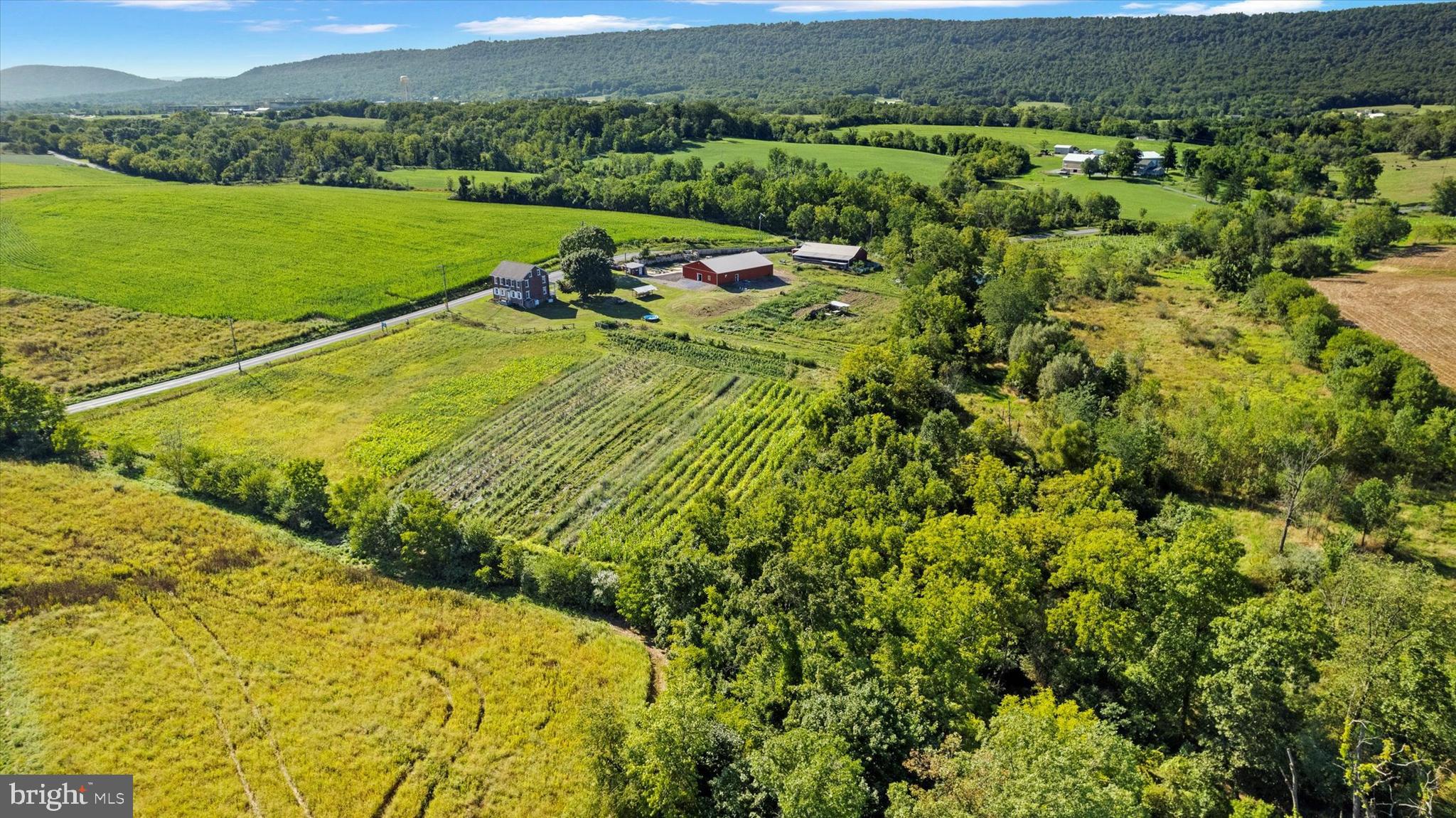 34 Homestead Road Grantville, PA 17028 - Photo 3 of 41