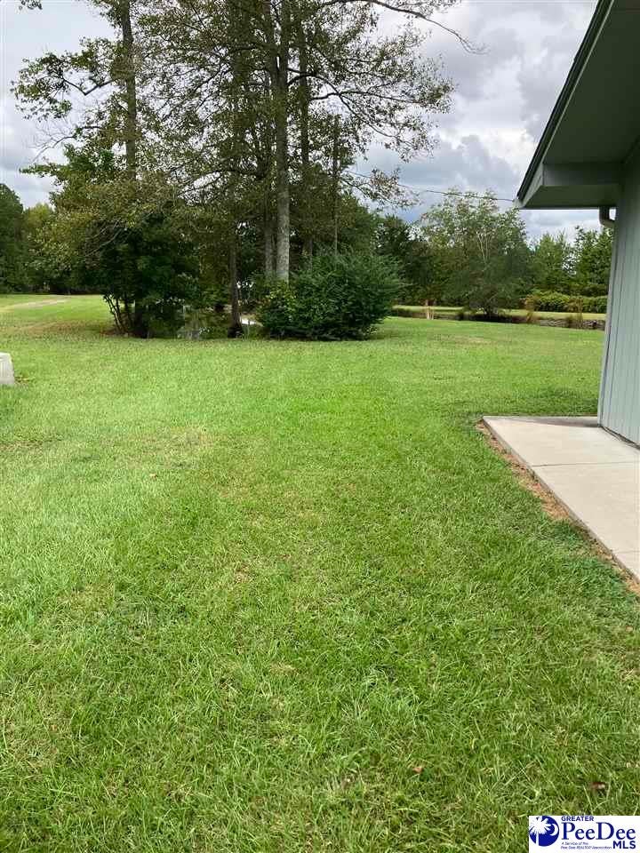 7241 Christmas Farm Road Latta, SC 29565 - Photo 11 of 14 Gallery Image 11