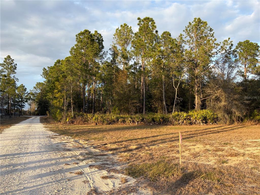 Oil Well Road Clermont, FL 34714 - Photo 9 of 14 Gallery Image 9