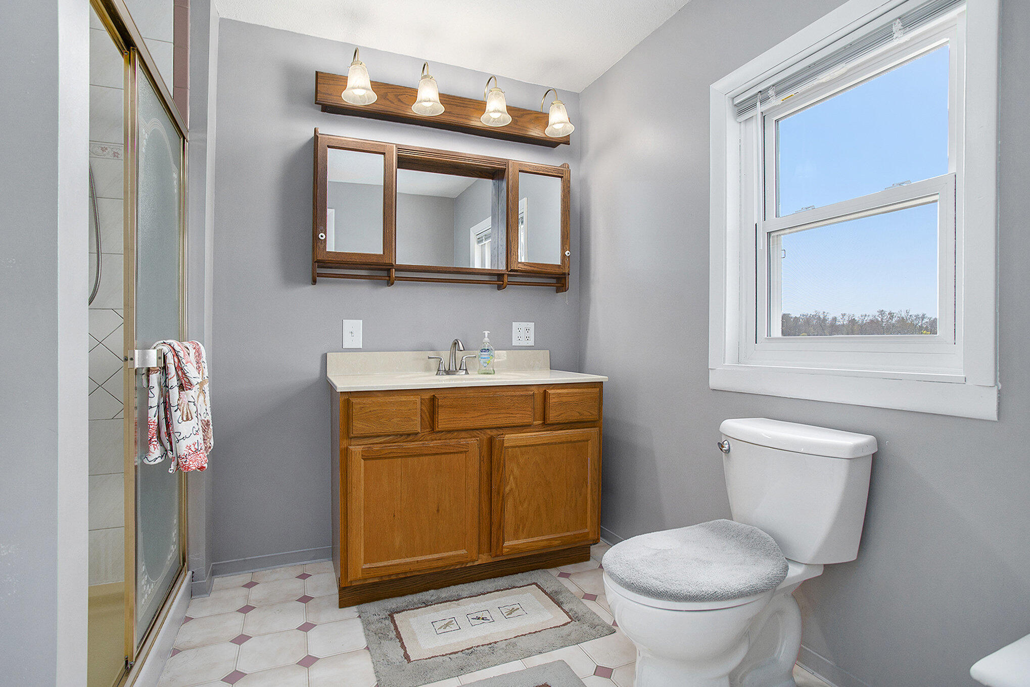 601 Clark Road Ceresco, MI 49033 - Photo 12 of 31 Primary Bathroom