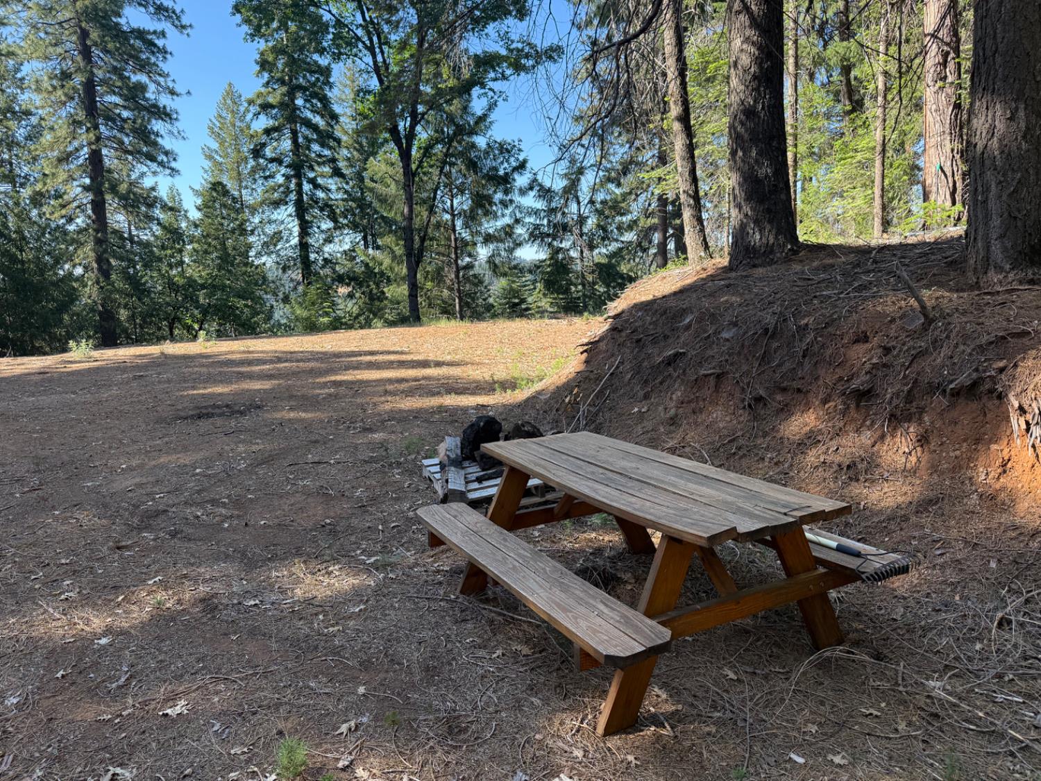 28087 Rolling Hills Road Pioneer, CA 95666 - Photo 1 of 49