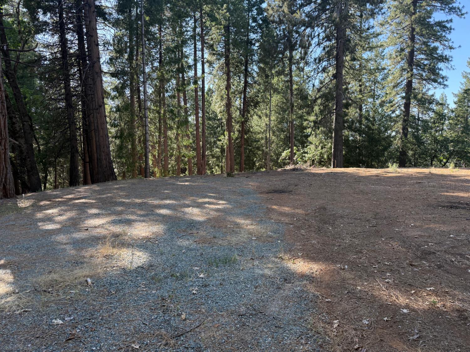 28087 Rolling Hills Road Pioneer, CA 95666 - Photo 12 of 49