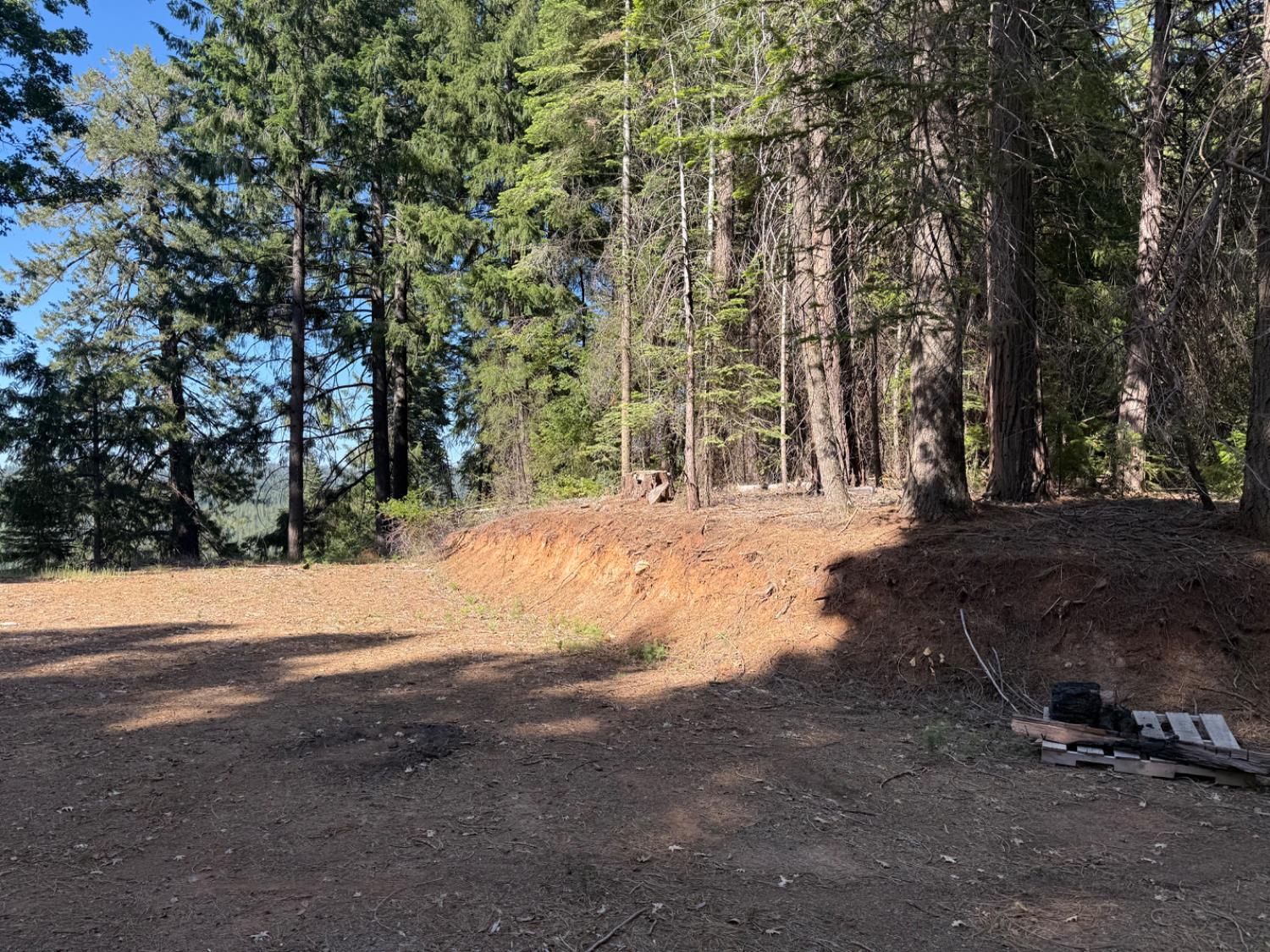 28087 Rolling Hills Road Pioneer, CA 95666 - Photo 13 of 49