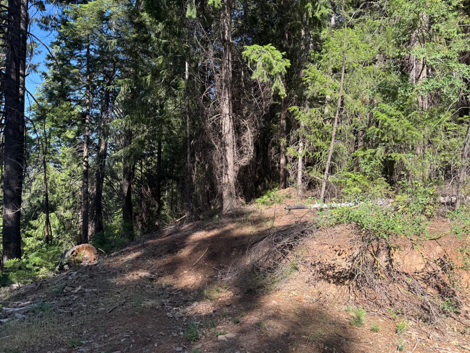 28087 Rolling Hills Road Pioneer, CA 95666 - Photo 14 of 49