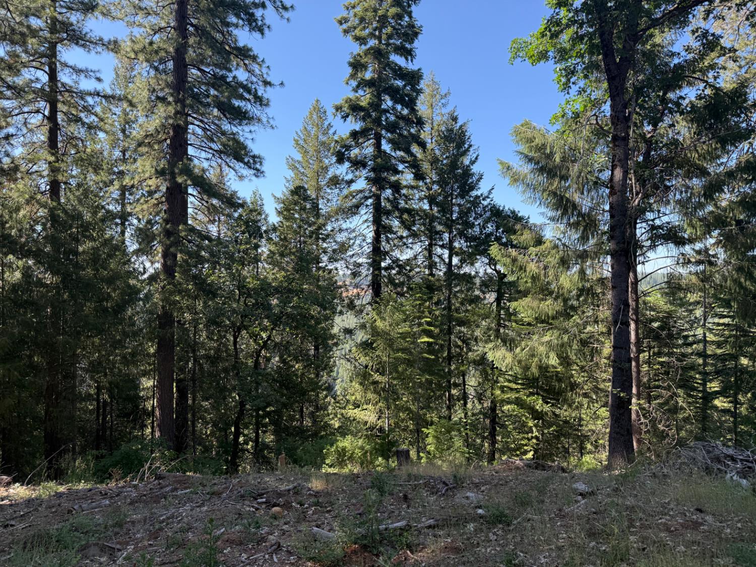 28087 Rolling Hills Road Pioneer, CA 95666 - Photo 15 of 49