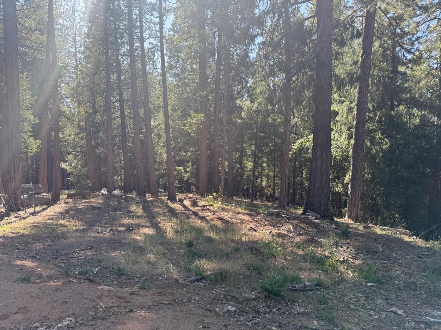 28087 Rolling Hills Road Pioneer, CA 95666 - Photo 16 of 49