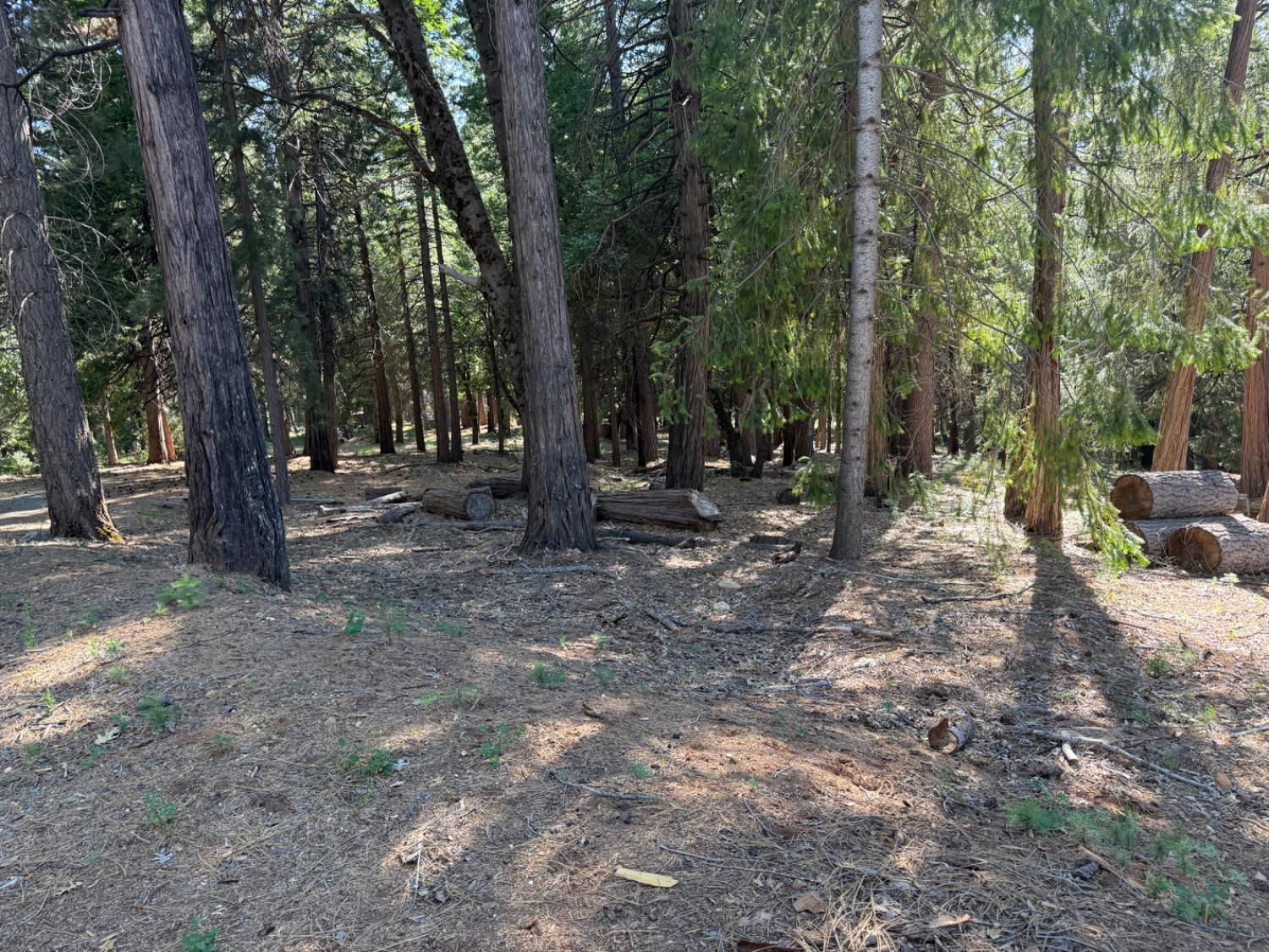 28087 Rolling Hills Road Pioneer, CA 95666 - Photo 17 of 49