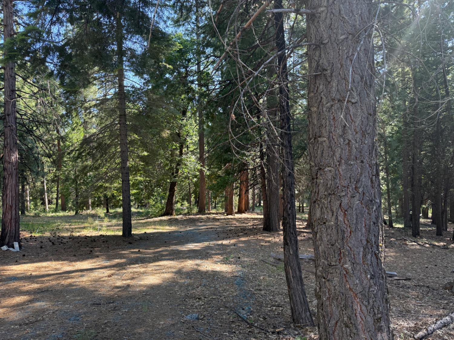 28087 Rolling Hills Road Pioneer, CA 95666 - Photo 19 of 49