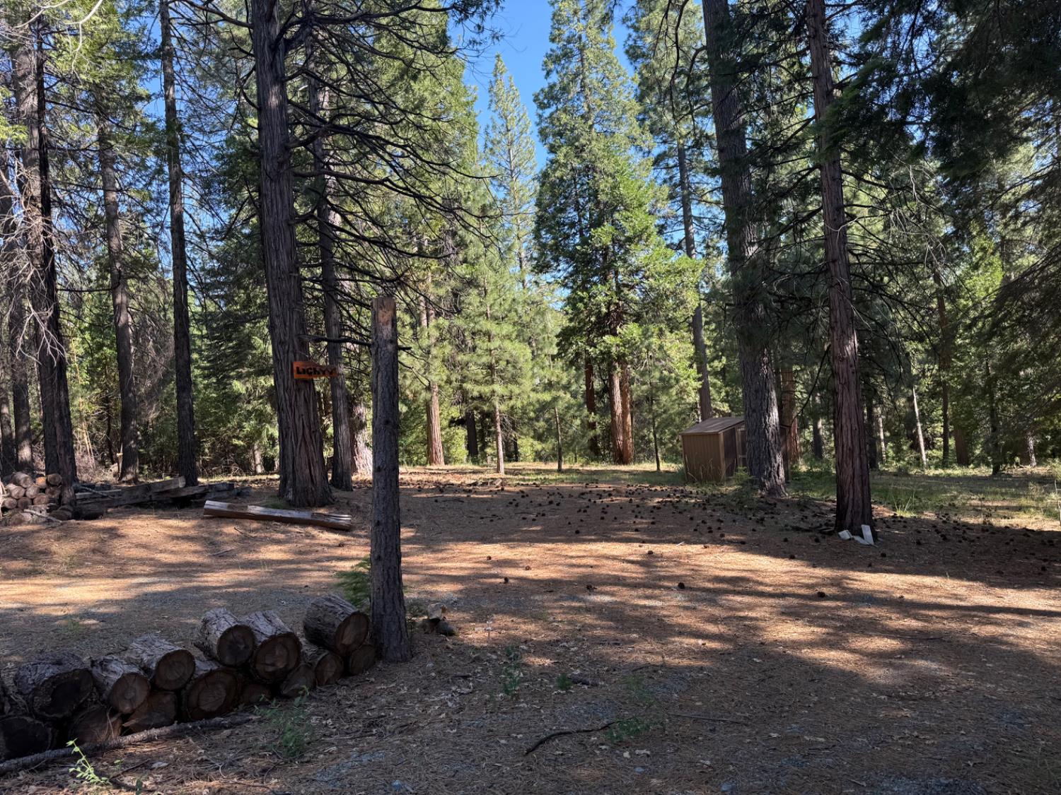 28087 Rolling Hills Road Pioneer, CA 95666 - Photo 20 of 49