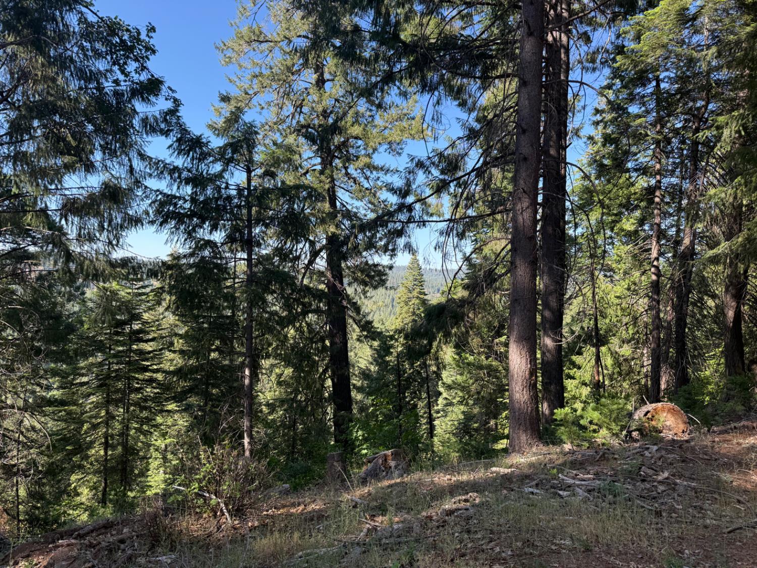 28087 Rolling Hills Road Pioneer, CA 95666 - Photo 2 of 49